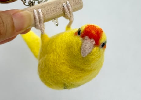 お客様専用パーチインコ2体
