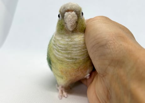 お客様専用約1/2サイズウロコインコ×2