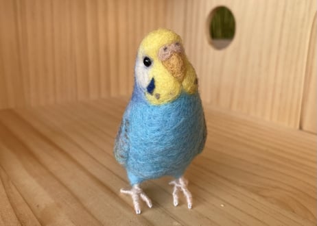 お客様専用約1/2サイズ&ピーナッツセキセイインコ