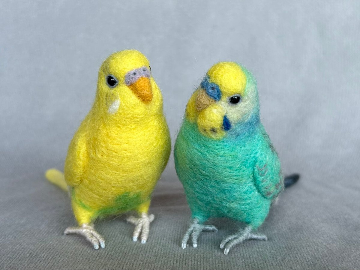 セキセイインコ fit=scale-down,w=1200