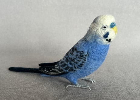 セキセイインコリアルサイズ