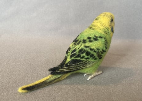 お客様専用約1/2サイズ＆ピーナッツセキセイインコ
