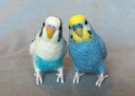 約1/2サイズセキセイインコ