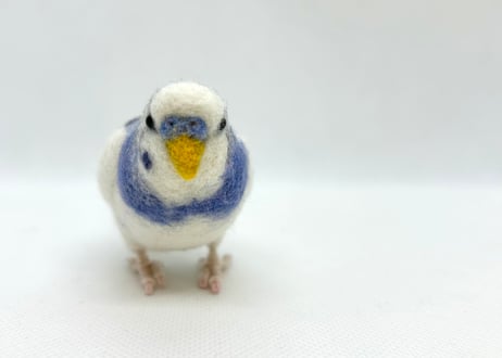 約1/2サイズセキセイインコ