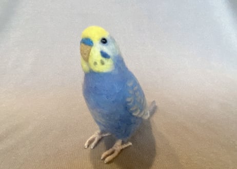 お客様専用約1／2サイズセキセイインコ