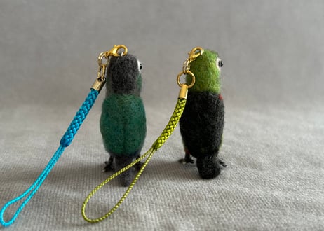 約1/2サイズウロコインコ＋ピーナッツ