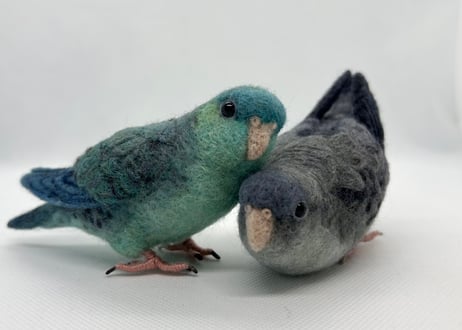 お客様専用約1/2サイズサザナミインコ