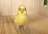 お客様専用約1／2サイズセキセイインコルチノー