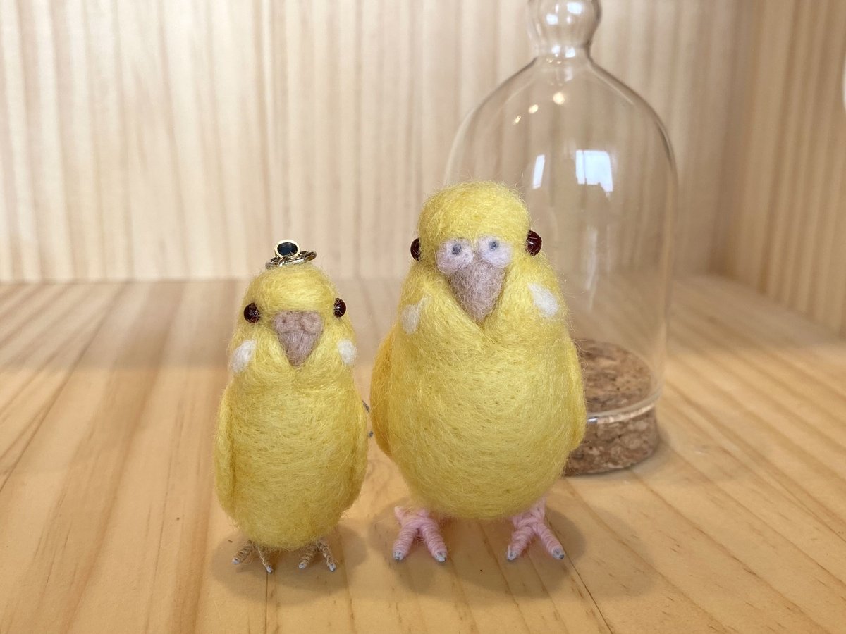 カラフルなインコの絵皿27センチ セキセイインコ、レインボー、オス【まるい鳥の顔の缶バッチ