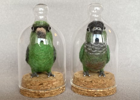 お客様専用ガラスドームインコ