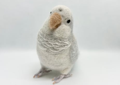 お客様専用 約1/2サイズ&ピーナッツオキナインコ