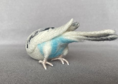 お客様専用約1/2サイズ&ピーナッツセキセイインコ