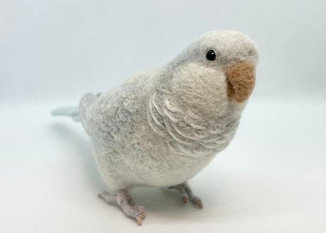 お客様専用 約1/2サイズ&ピーナッツオキナインコ
