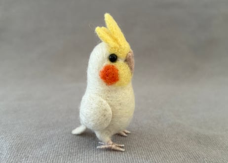 オカメルチノー、セキセイルチノー4点
