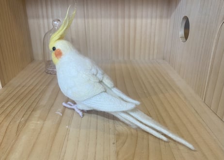 お客様専用約1/2,ガラスドーム,ピーナッツオカメインコルチノー