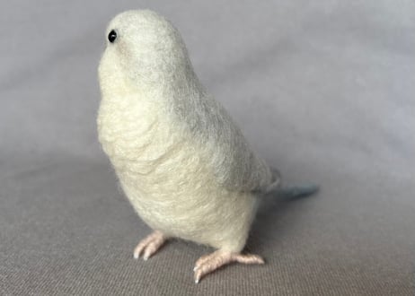 約1/2サイズオキナインコ