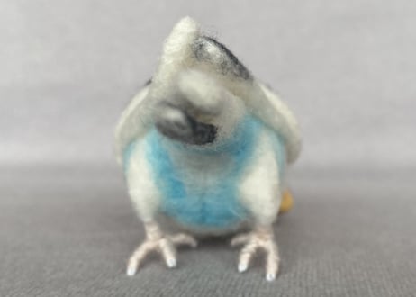 お客様専用約1/2サイズ&ピーナッツセキセイインコ