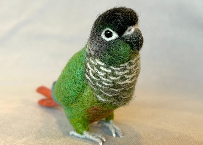 お客様専用約1/2サイズウロコインコ | TinyBooBoo