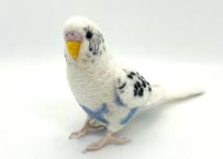 お客様専用リアルサイズセキセイインコ×2