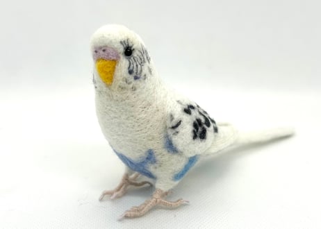 お客様専用リアルサイズセキセイインコ×2