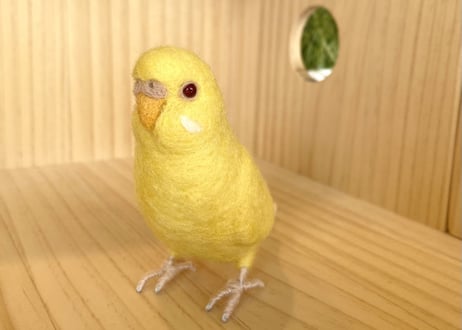 お客様専用約1／2サイズセキセイインコルチノー