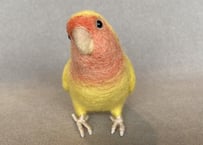 お客様専用約1/2サイズコザクラインコ×2