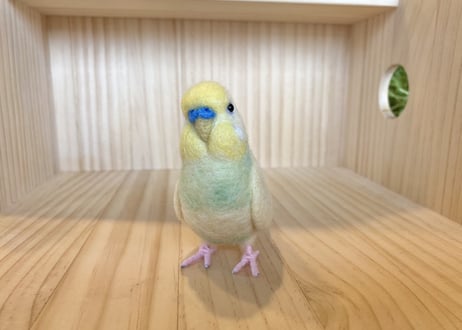 お客様専用約1／2サイズセキセイインコ