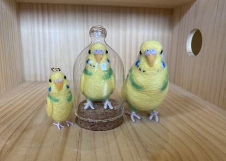 お客様専用約1/2サイズ、ガラスドーム、ピーナッツタイプセキセイインコイエローパイド