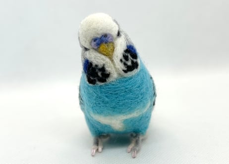 お客様専用約1/2サイズジャンボセキセイインコ