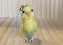 お客様専用ピーナッツセキセイインコ