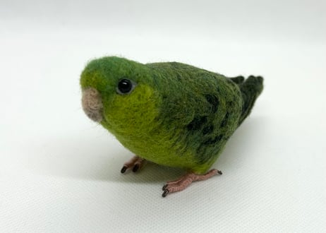 お客様専用約1/2サイズとおすわりサザナミインコ