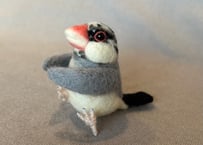 おすわり文鳥