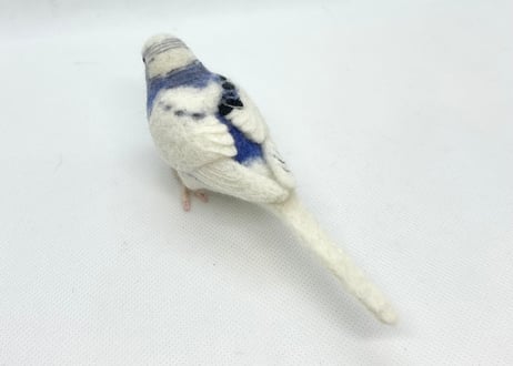 約1/2サイズセキセイインコ
