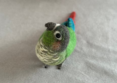 約1/2サイズウロコインコ＋ピーナッツ