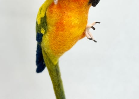 お客様専用パーチインコ2体
