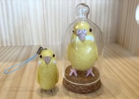 Pino様専用ガラスドーム&ピーナッツセキセイインコ