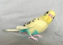 セキセイインコリアルサイズ
