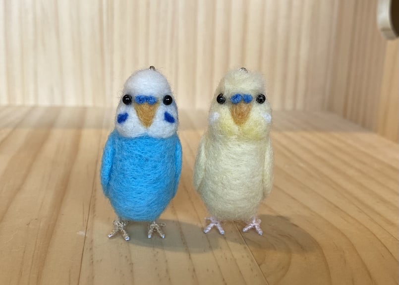 お客様専用サイズ規格外セキセイインコインコ+ピーナッツ お客様専用サイズ規格外セキセイインコインコ+ピーナッツ
