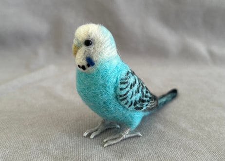 約1/2サイズセキセイインコ