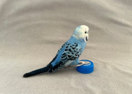 約1/2サイズセキセイ&オカメインコ