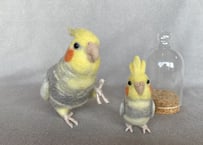 お客様専用約1/2サイズ＆ガラスドームオカメインコ