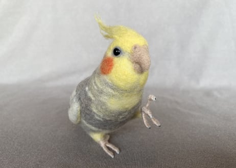 お客様専用約1/2サイズ＆ガラスドームオカメインコ