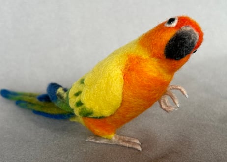 約1/2サイズ中型オカメインコ&コガネメキシコインコ