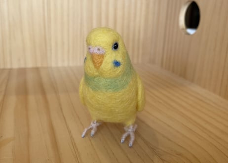 お客様専用約1/2サイズセキセイインコ2体