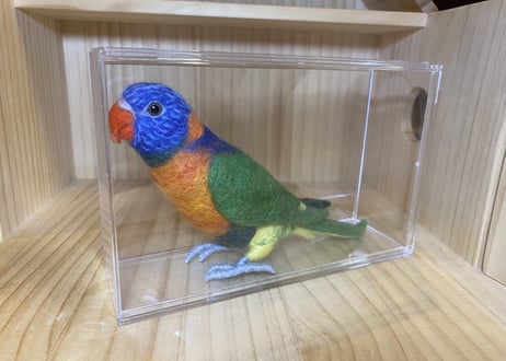 お客様専用ハルマヘラオオハナインコ＋アカエリゴシキセイガイインコ