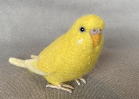 お客様専用約1/2サイズセキセイインコ&オカメインコ