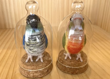 お客様専用ガラスドームタイプウロコインコ2体