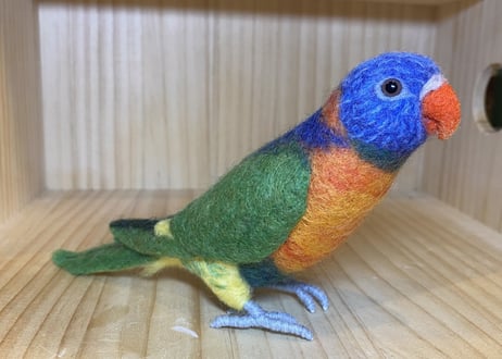お客様専用ハルマヘラオオハナインコ＋アカエリゴシキセイガイインコ