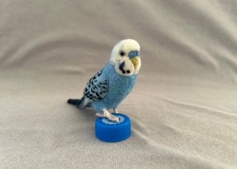約1/2サイズセキセイ&オカメインコ