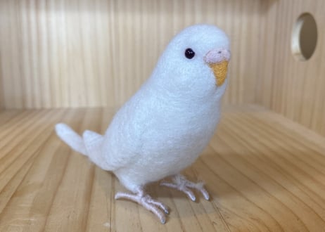 お客様専用セキセイインコ